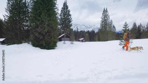 Man snowshoeing with sibirian husky photo