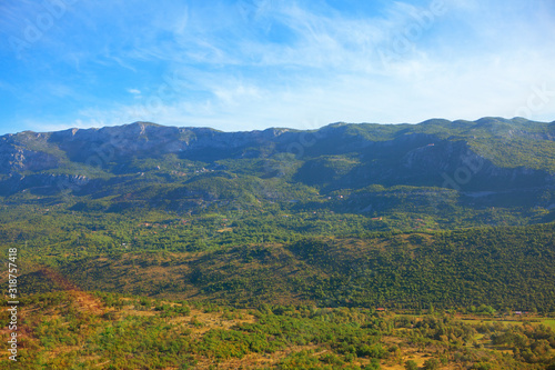 mountainous scenery with green forest 