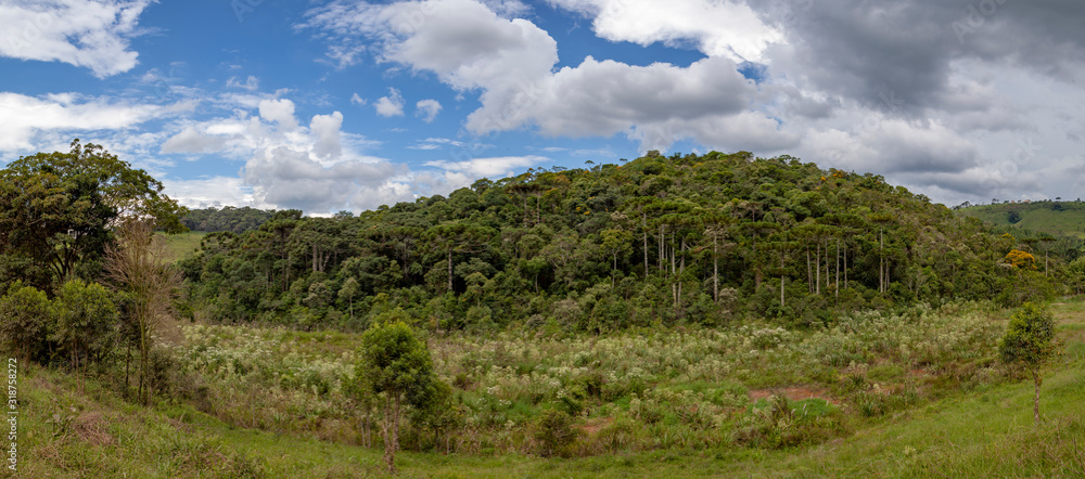 
Panoramic view of a hill with a small forest and a blue sky with clouds