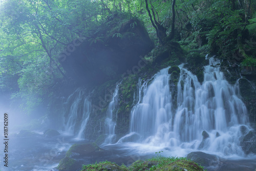 深山の元滝伏流水（鳥海山麓）３ © @Atsuhiko_Kodama