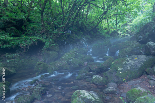 深山の元滝伏流水（鳥海山麓）２