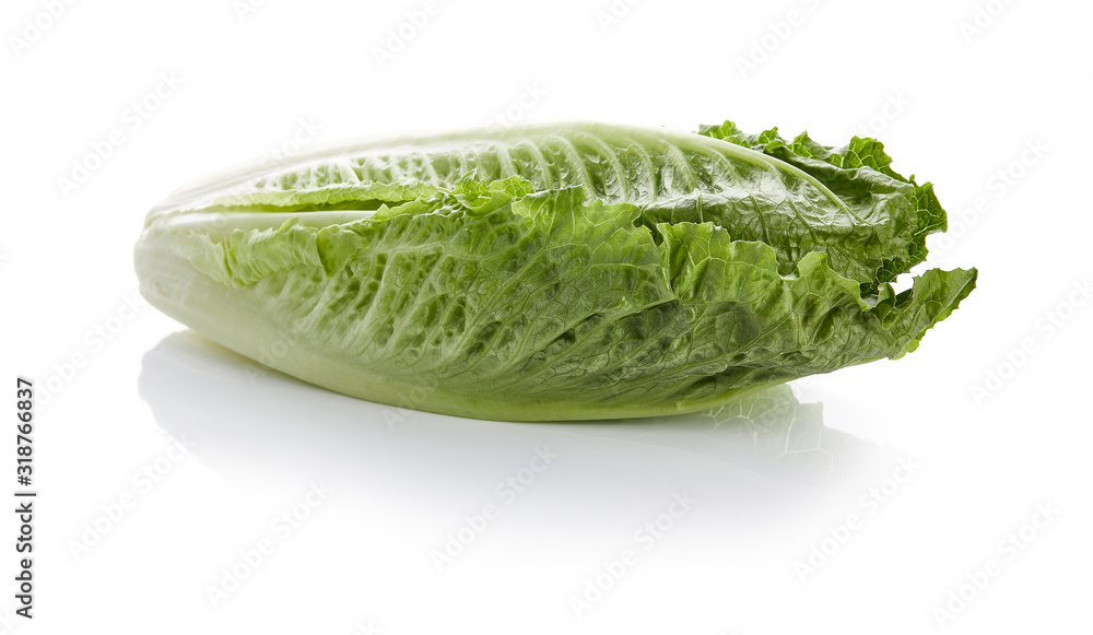 Isolated on White Background