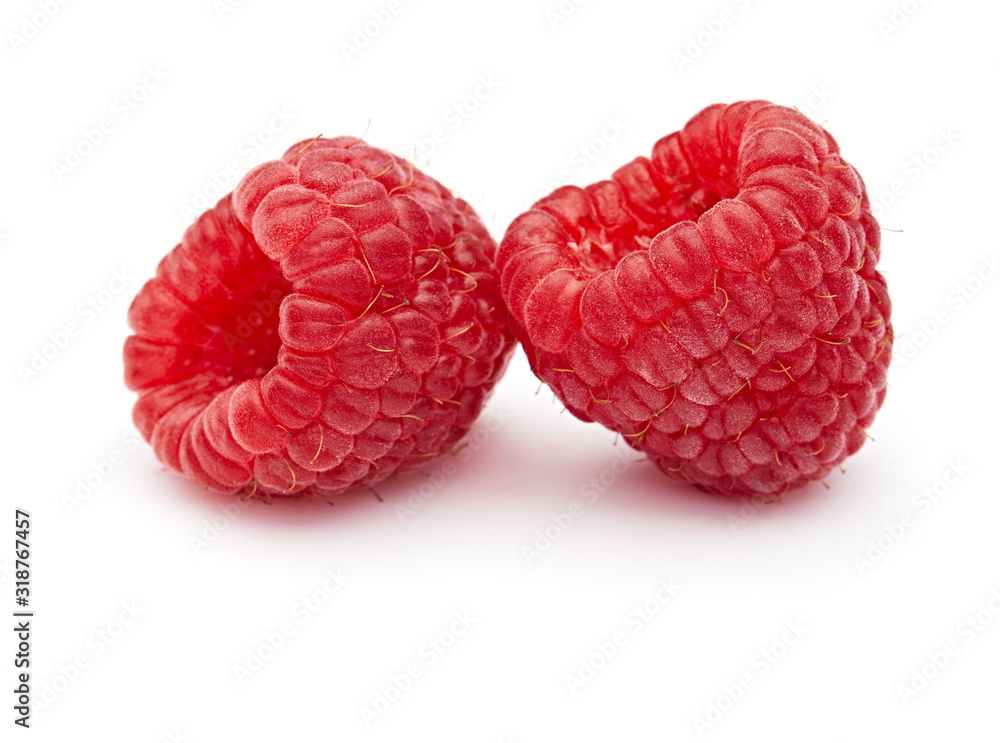 Raspberry Isolated on White Background Raspberry Isolated on White Background