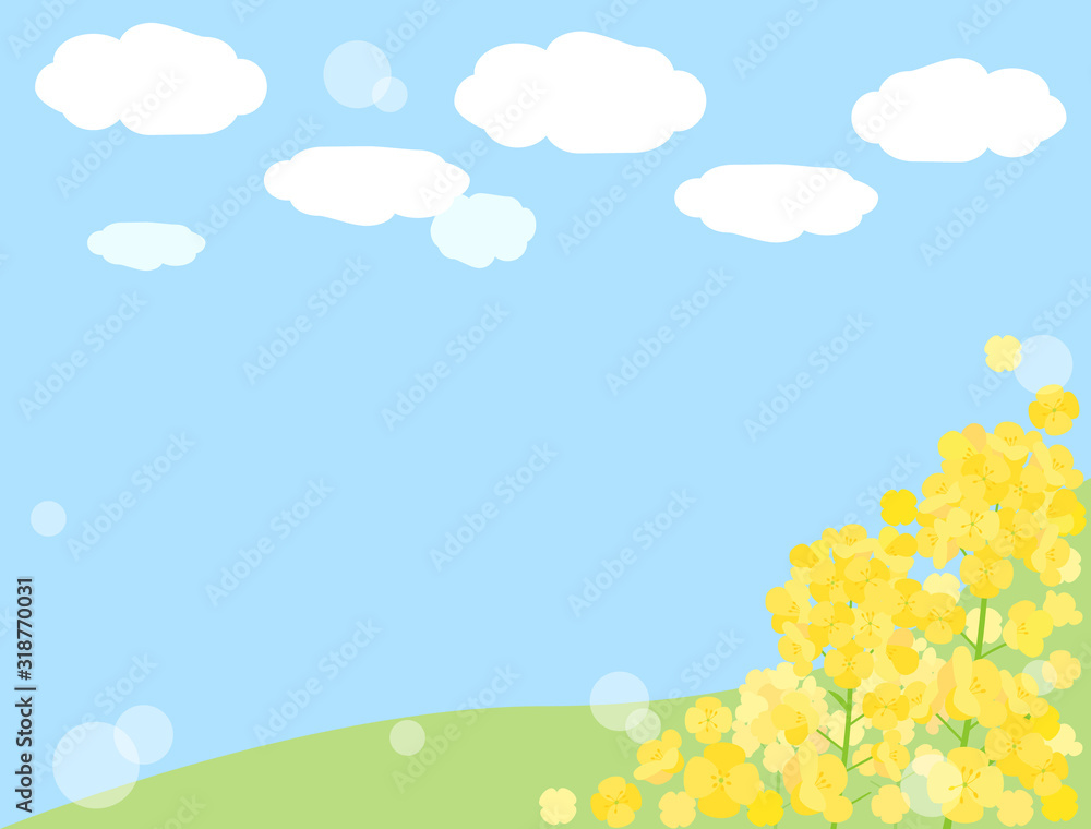 Obraz premium 菜の花24 カード