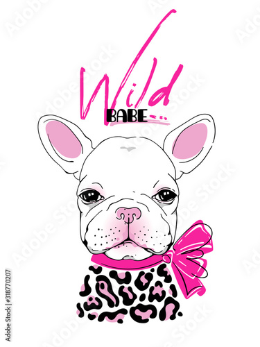 Cute french bulldog in leopard print clothes. Dog with a pink bow. Stylish image for printing on any surface