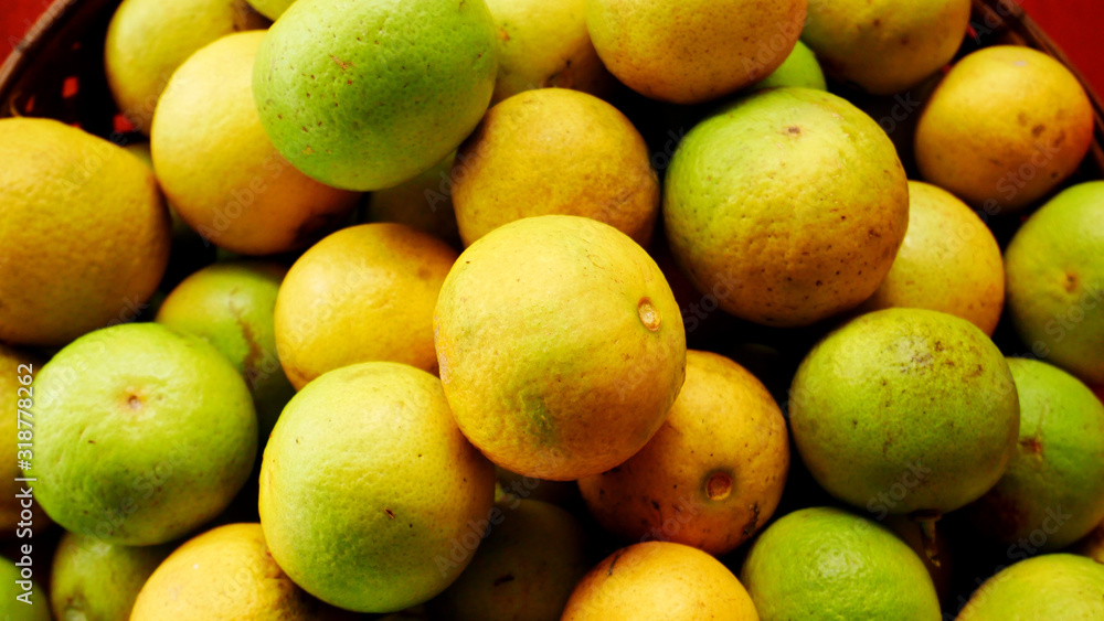 fresh lemons and limes organic farm