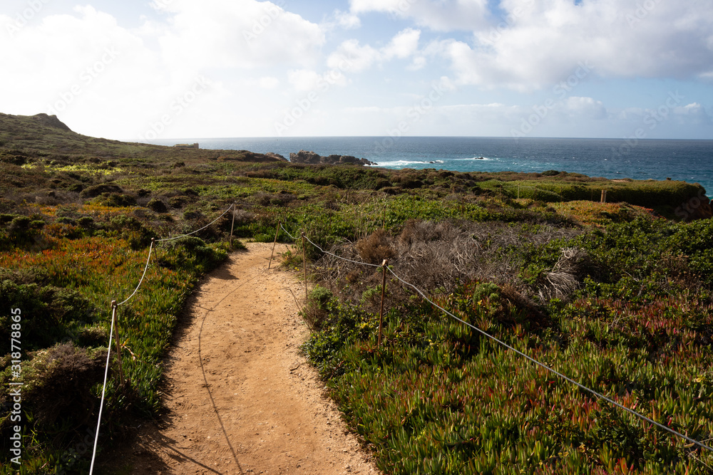 Big Sur coastline along California's scenic Pacific Coast Highway