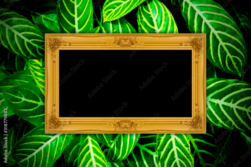 Gold wooden frame on green leaves texture background.