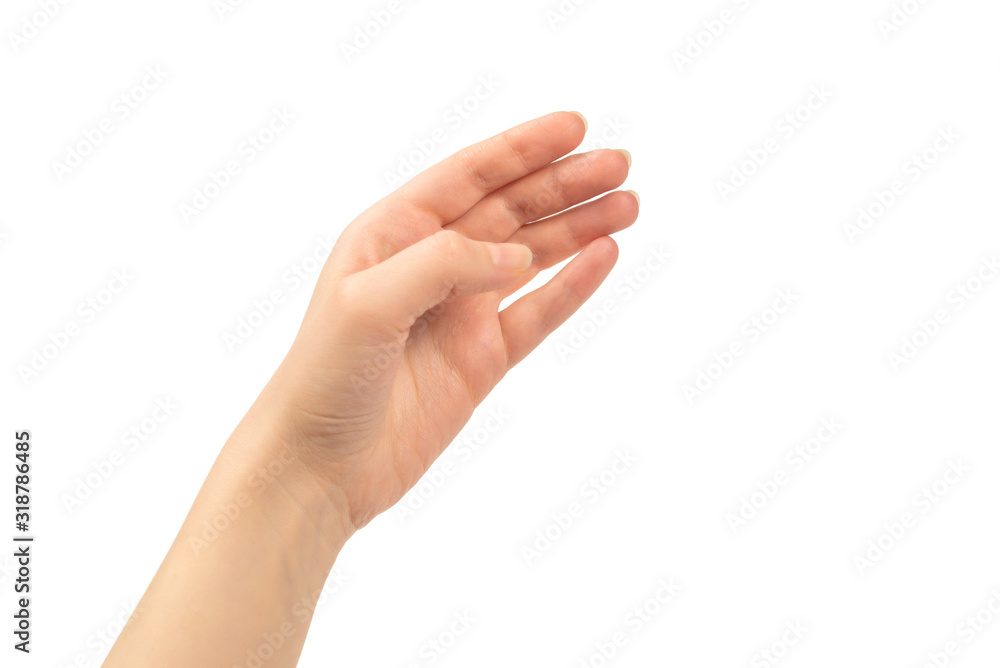 Fototapeta premium Hand of woman isolated on white