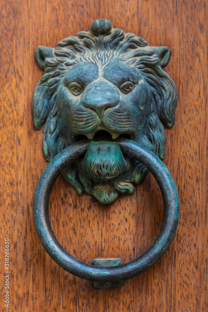 Italy, Sicily, Messina Province, Caronia. A bronze door knocker in the shape of a lion, in the medieval town of Caronia.