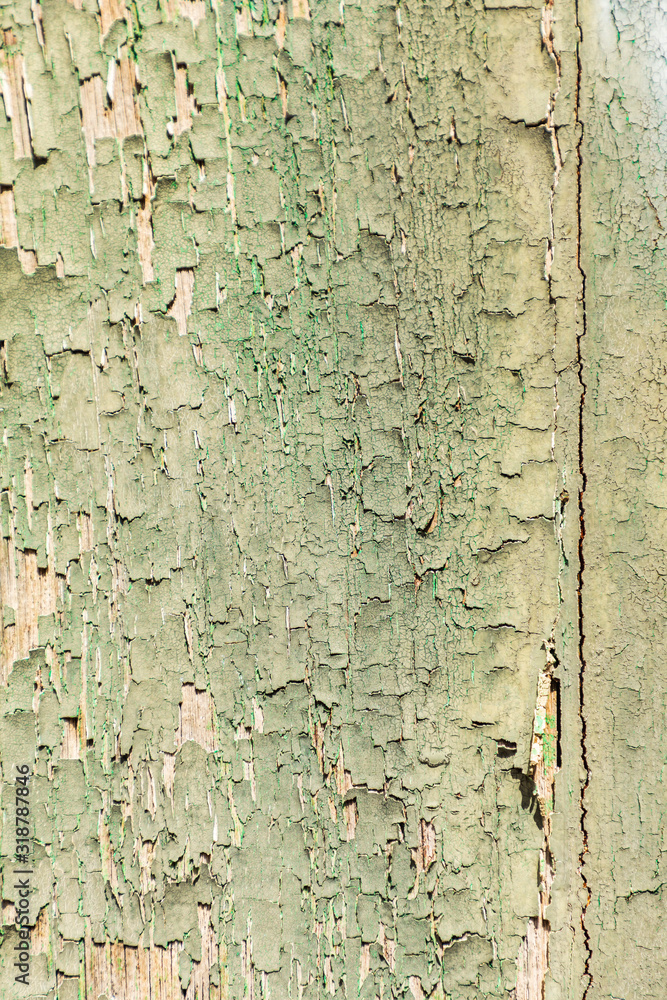 Obraz premium Italy, Sicily, Messina Province, Montalbano Elicona. Green peeling paint on a wooden door in the medieval hill town of Montalbano Elicona.