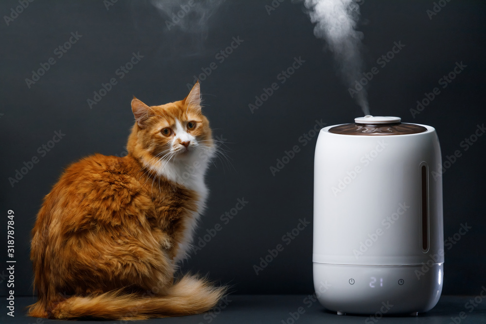 Ταπετσαρία White home air humidifier clean air and vaporizes steam up into the air