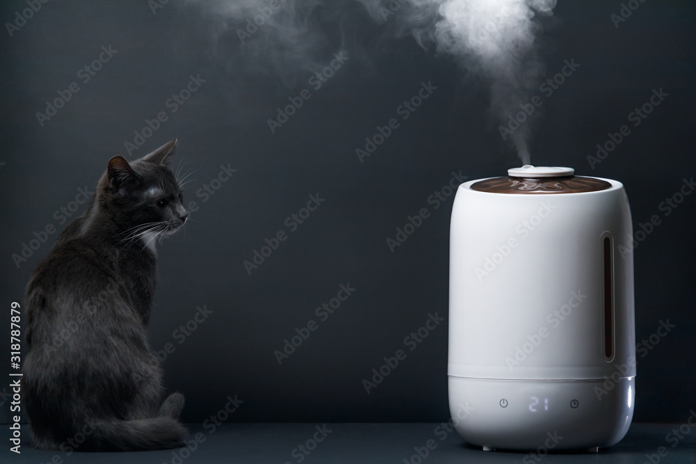 Ταπετσαρία White home air humidifier clean air and vaporizes steam up into the air