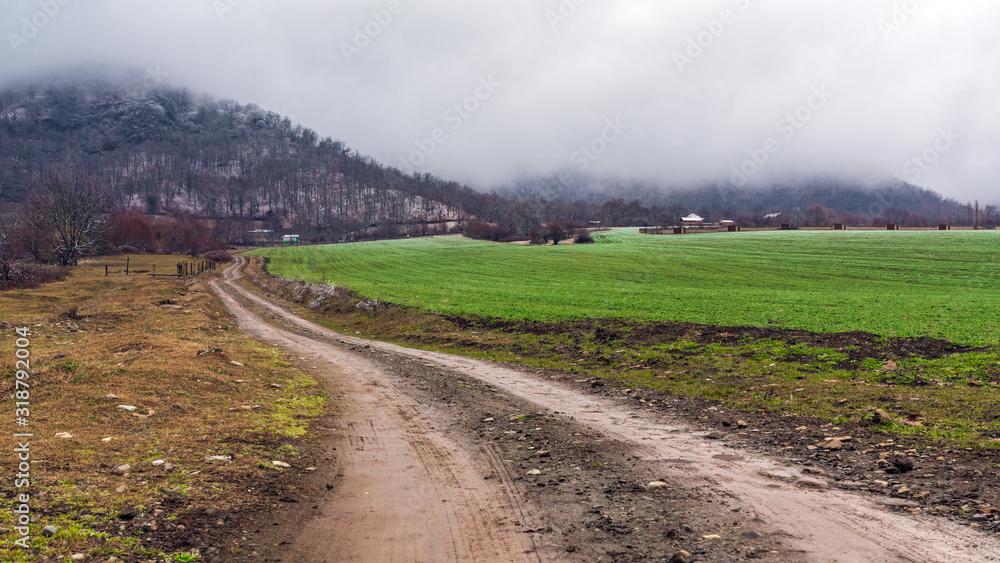 Dirt road along a green farm field