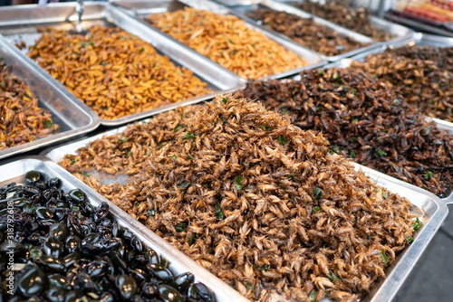 Fried crickets and other fried insects in Thai market © wachiwit