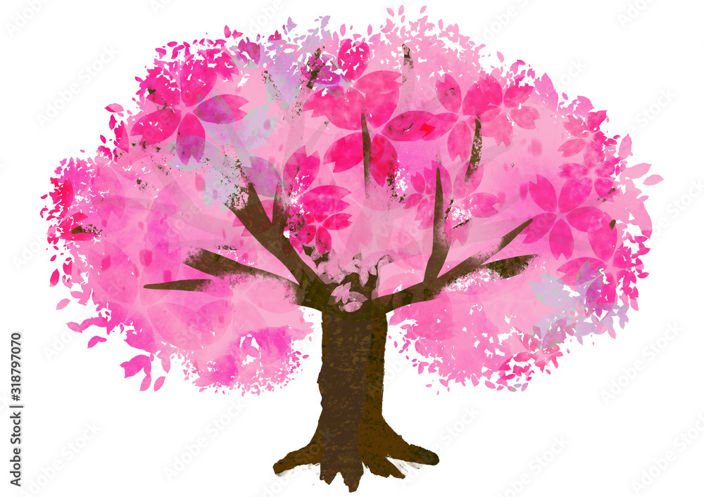 Obraz premium 満開の桜の木