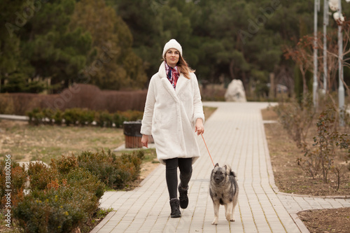 A beautiful, fashionable girl in an artificial white fur coat with her cute Keeshond puppy on a walk. Concept: love between owner and dog. Dog walking in the city.