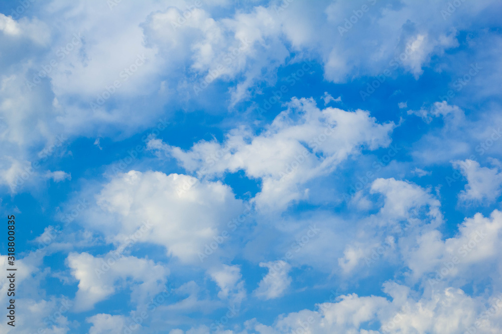 Fototapeta premium blue sky and white clouds