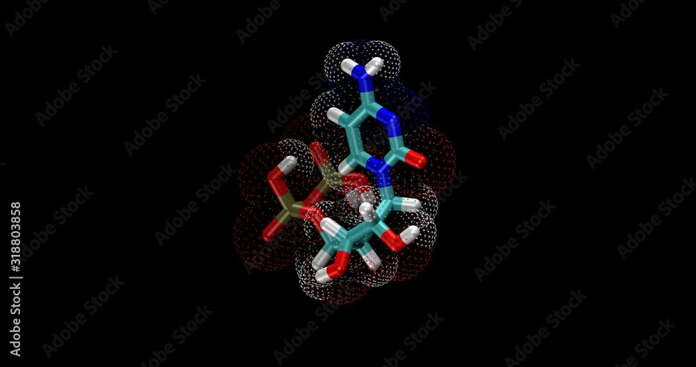 Cytidine diphosphate (CDP) Cytidine diphosphate (CDP)