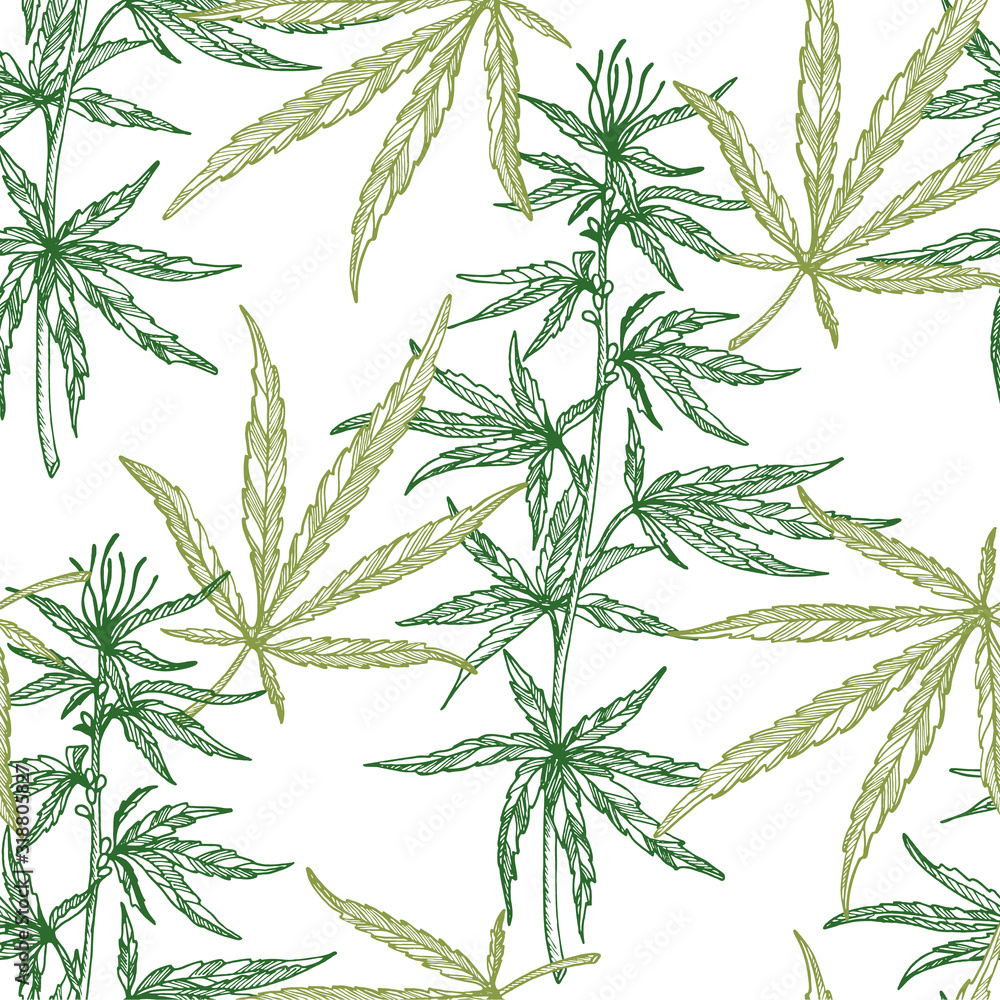 Naklejka premium Seamless pattern of leaves and branch of Hemp plant. Organic product. Ink sketch of cannabis. Hand drawn graphic design. Vector illustration.