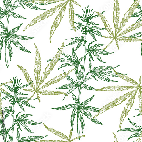 Seamless pattern of  leaves and branch of Hemp plant. Organic product. Ink sketch of cannabis. Hand drawn graphic design. Vector illustration.