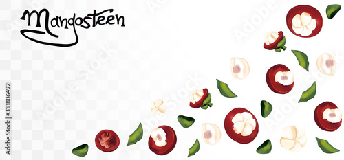 Mangosteen in motion on transparent background. 3D realistic mangosteen. Fruit close up. Top view. Food concept. Vector illustration.