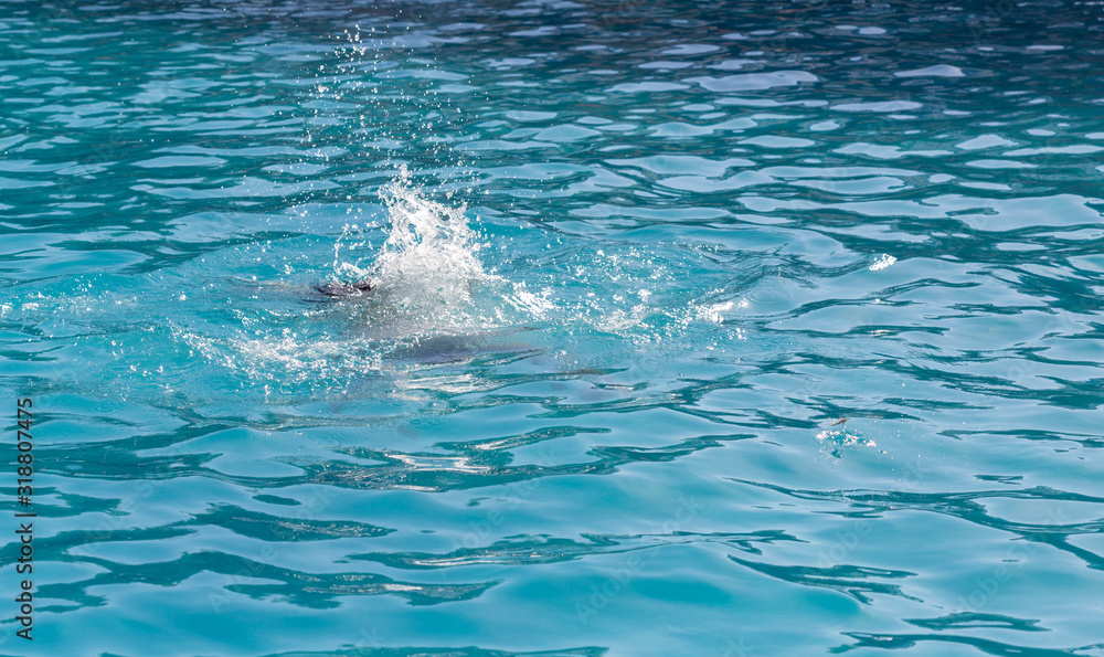 Obraz premium man resting by the pool on a summer day