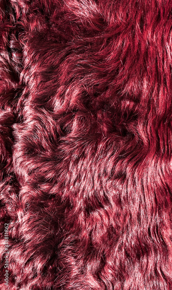 Naklejka premium texture of the fur painted in Burgundy color