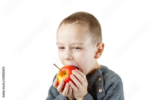 A little European boy holds a red apple in his hand and bites it. Joy and admiration. Studio photography on an isolated white background.