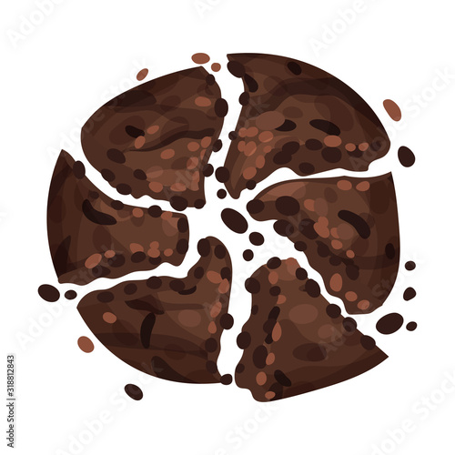Chocolate Cookie Crumbs and Chips Isolated On White Background Vector Item
