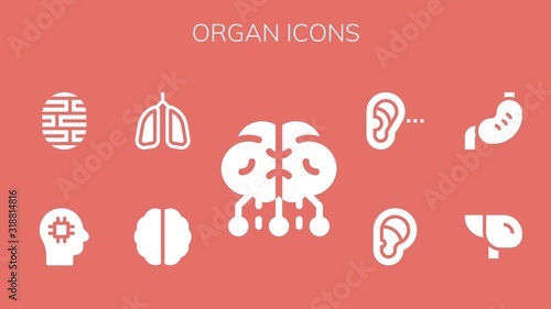 organ icon set