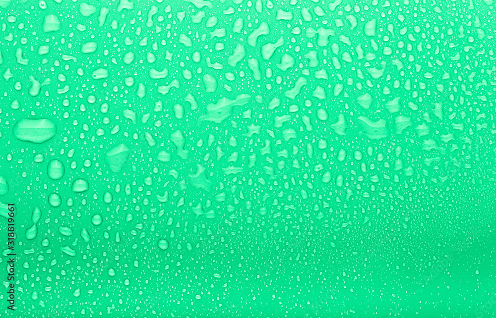 Obraz premium Drops of water on a color background. Selective focus. Green