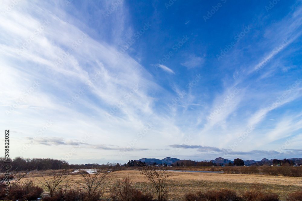 Fototapeta premium 青空と白い雲 冬の晴れた日