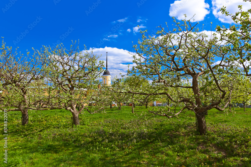 Garden in Kolomna Kremlin - Moscow region - Russia Garden in Kolomna Kremlin - Moscow region - Russia