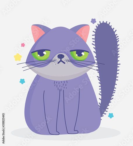 cat with sad face domestic cartoon animal, cats pets