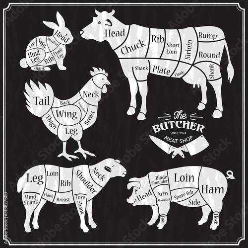 Animal farm set. Cut of beef, pork, lamb, chicken. Poster Butchers for groceries, meat stores, butcher shop, farmer market. Cow, pig, sheep and chicken silhouette.