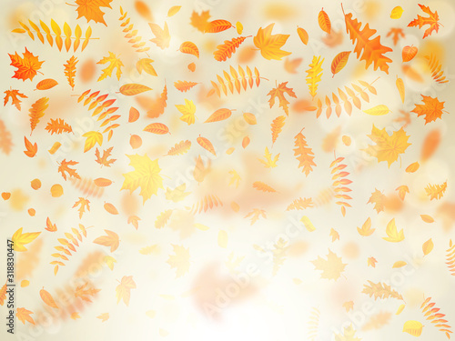Beautiful autumn background with maple autumn leaves and delicate sun. EPS 10