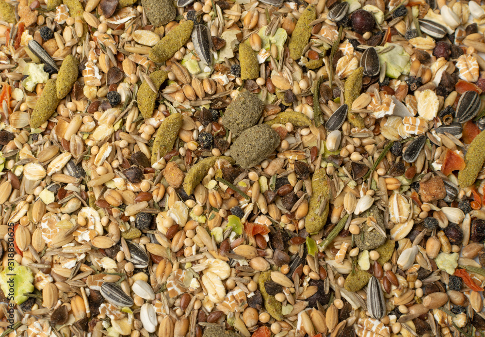 Dry Rodent Food Mix for Mouse, Rabbit or Degu Feed Texture