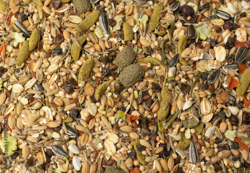 Dry Rodent Food Mix for Mouse, Rabbit or Degu Feed Texture