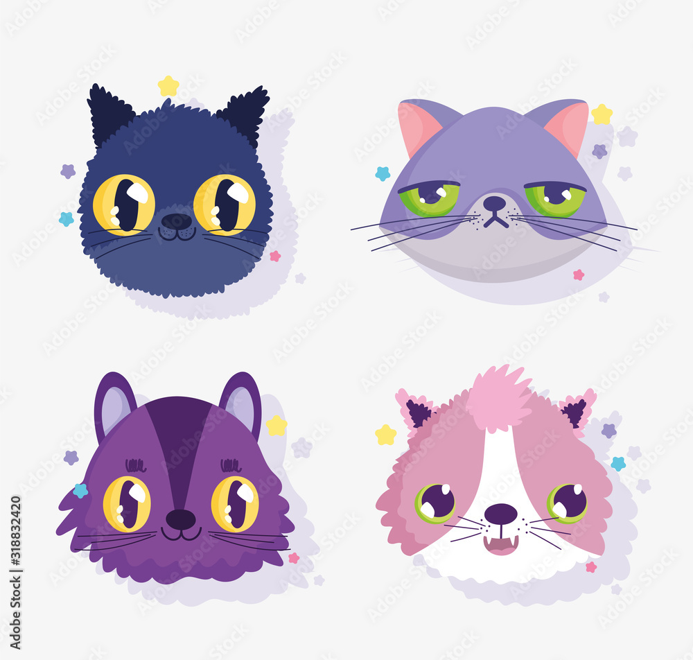 cute faces cats differents gesture domestic cartoon animal, collection pets