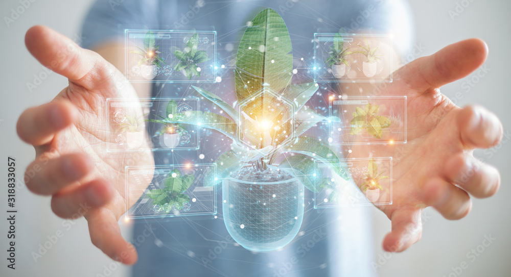 Man holding and touching holographic projection of a plant with digital analysis 3D rendering Man holding and touching holographic projection of a plant with digital analysis 3D rendering