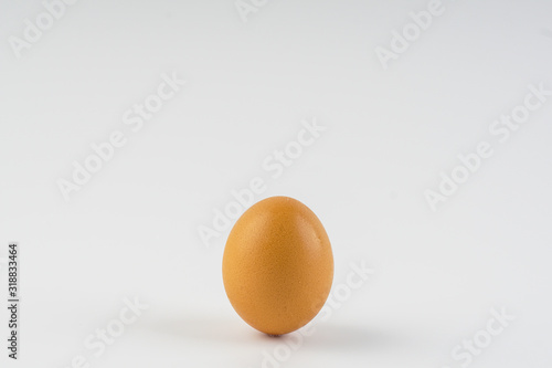 Single brown chicken egg over white background