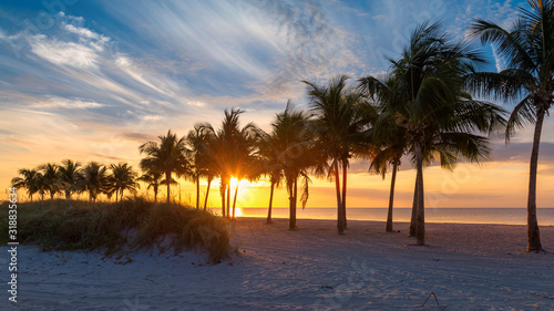Fototapeta Naklejka Na Ścianę i Meble -  Palm trees at sunrise with lifeguard hut in Miami Beach, Florida.