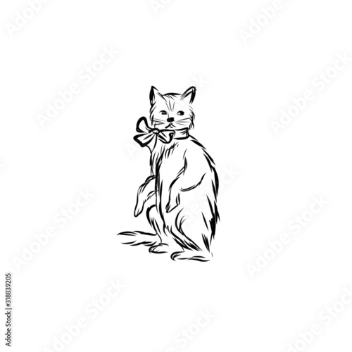 Graphic cat, pet, man’s four-legged friend, hand drawn graphic, line art, animal
