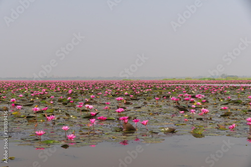Udon Thani,Thailand-January 22, 2020: Morning scene of Red Lotus Lake or Talay Bua Daeng in Udon Thani, Thailand