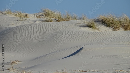 Beautiful sand dunes with a great pattern in the sand