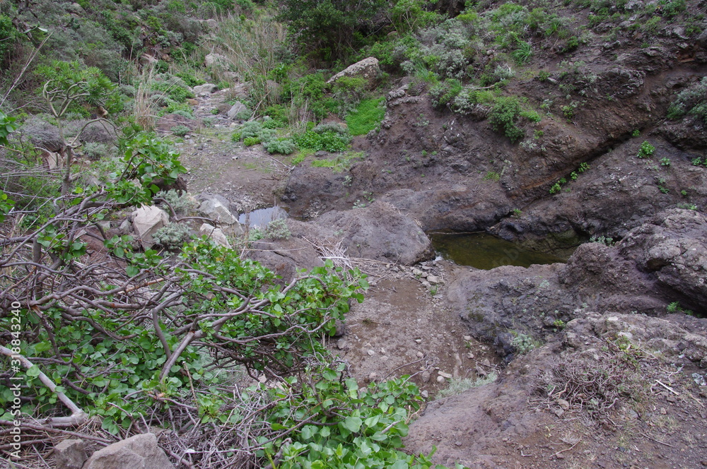Roque Bermejo Gorge in the north of Tenerife Roque Bermejo Gorge in the north of Tenerife