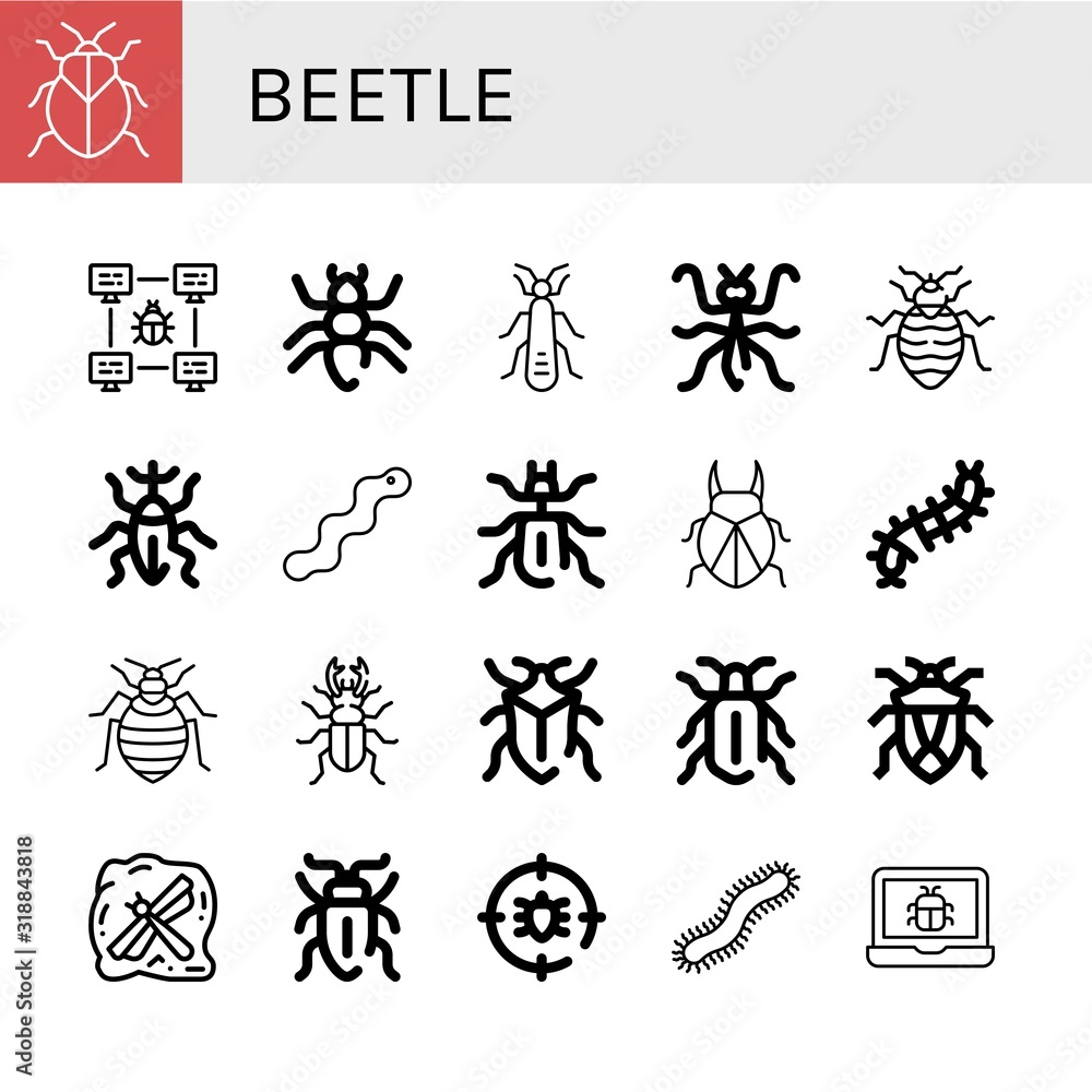 beetle simple icons set beetle simple icons set