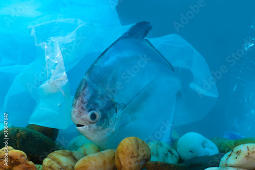Disposal of waste into water sources, such as plastic bags, is non-biodegradable, causing pollution and is harmful to aquatic animals and ecological systems.