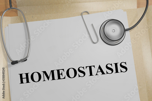 HOMEOSTASIS - medical concept photo